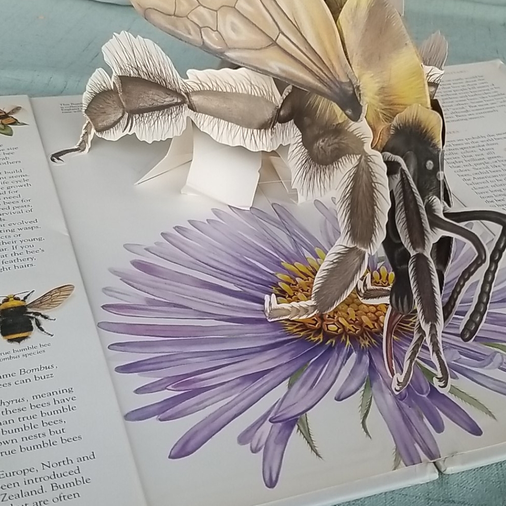 Book - Picture 2 of 2